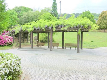 水のわ公園の画像1