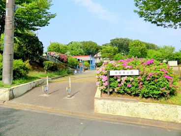 鳶尾東公園の画像1
