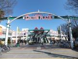 NIKKE COLTON PLAZA(ニッケ コルトン プラザ)