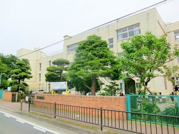 中津小学校の画像1