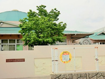 相川保育園