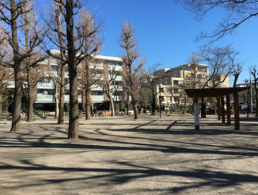 田向公園の画像1