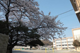 稲城第三小学校