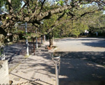 小山台公園