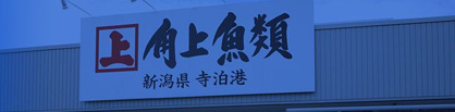 角上魚類の画像1