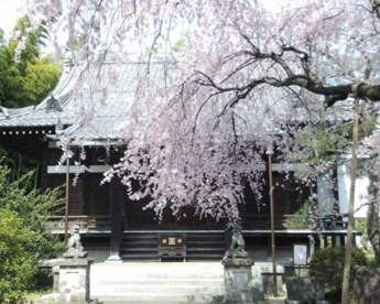 玄照寺の画像1