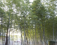公園 喜多見 5-6 遊び場