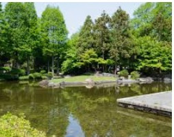 近松公園の画像1
