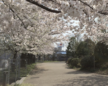 NHK技研 遊歩道
