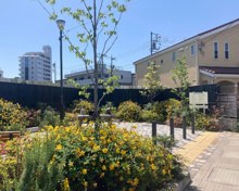 公園 砧一丁目ろっかく公園