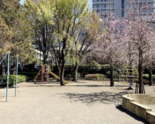 砧町公園