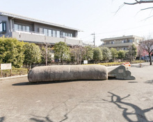 世田谷区立砧大根公園