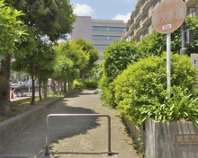 砧五丁目ひだまり公園