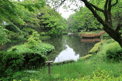 道保川公園の画像1