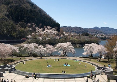 県立津久井湖城山公園(花の苑地)の画像1