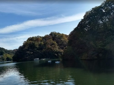 相模湖自然公園ふるさとの森の画像1