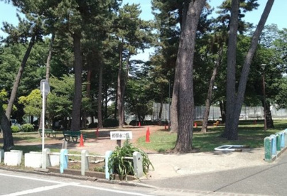 相模台公園の画像1