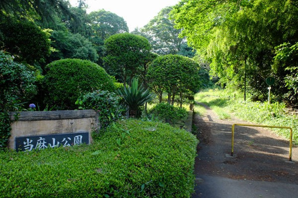 当麻山公園の画像