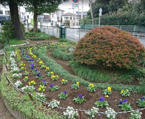 東原第１公園の画像