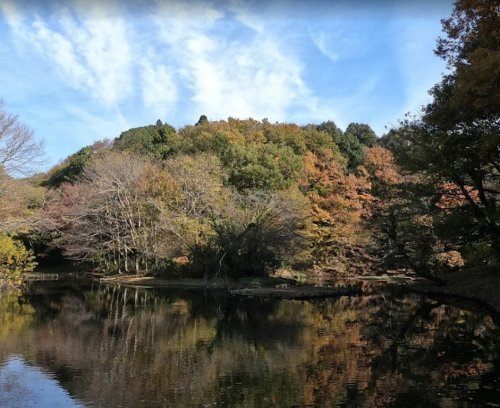星の谷公園の画像