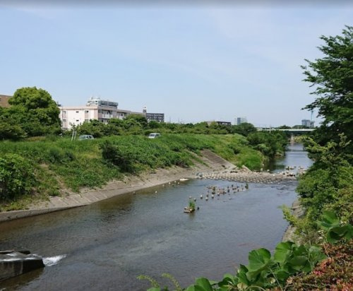 外河原公園の画像
