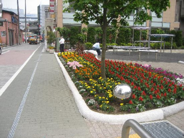 厚木市中町公園の画像1