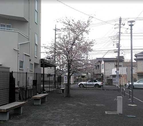 厚木市松原公園の画像