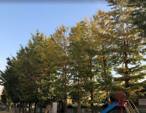 春日台第4公園の画像