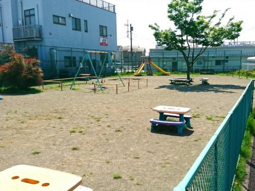 一本松公園の画像