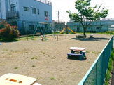 一本松公園