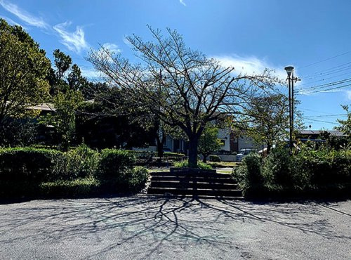鶴川富士見第１児童公園の画像