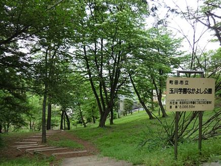 玉川学園なかよし公園の画像