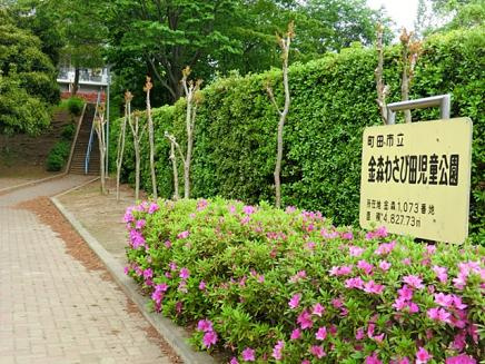 金森わさび田児童公園の画像