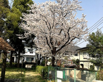 イトーピア西公園の画像1