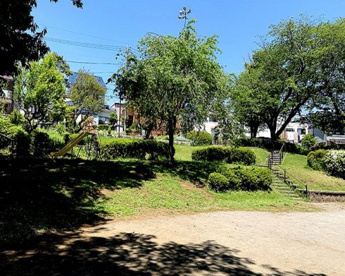 かしのみ公園の画像1