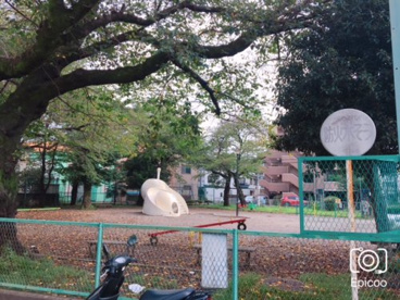 中町公園の画像1