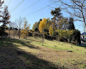 なずな原公園の画像1