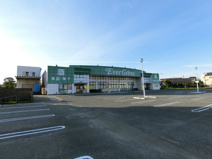 エバーグリーン　岸和田久米田店