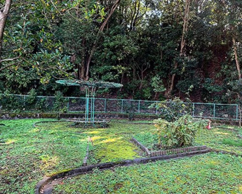 野津田野鳥児童公園の画像1
