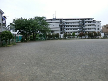 ひばりヶ丘公園の画像1