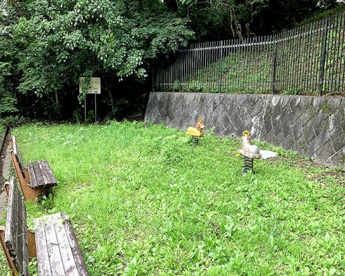 上小山田川島下公園の画像1