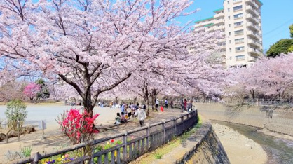 北部公園の画像1
