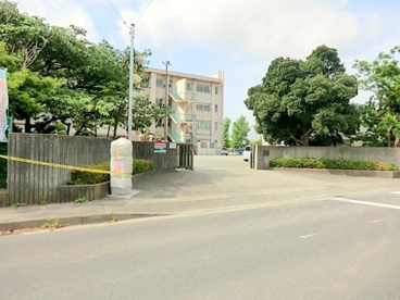 中新田小学校の画像1