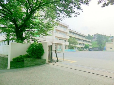 海老名小学校の画像1