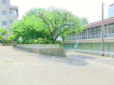 海老名中学校の画像1