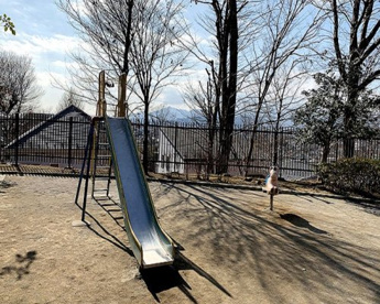 相原芹沢谷戸公園の画像1