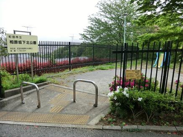 相原坂下北公園の画像1