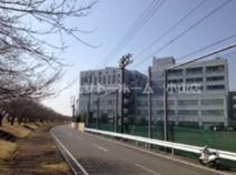 白鴎大学 大行寺キャンパス