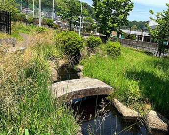 小野路下堤湧水公園の画像1