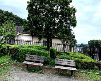 ときわ富士見台公園の画像1
